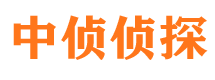 汉阳外遇出轨调查取证